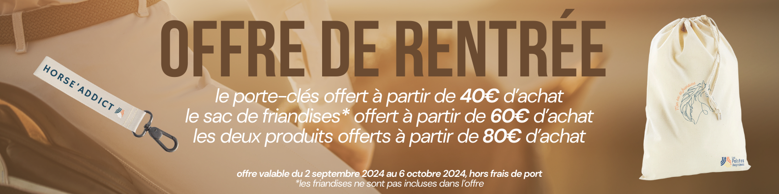 Bannière offre promotionnel